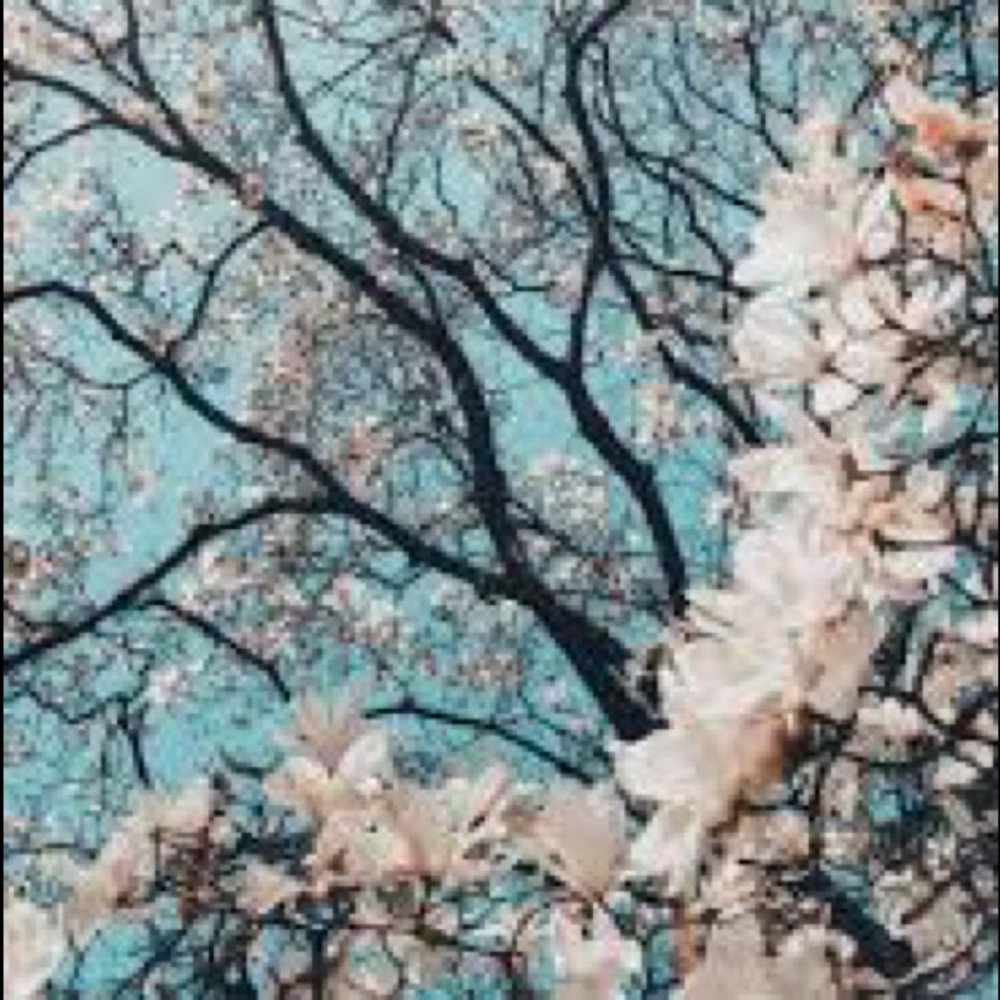 Meet your Posher, Blossoms